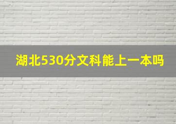 湖北530分文科能上一本吗