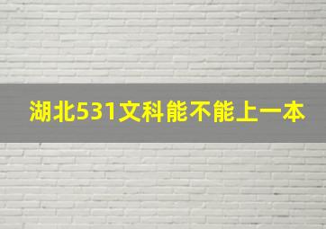 湖北531文科能不能上一本