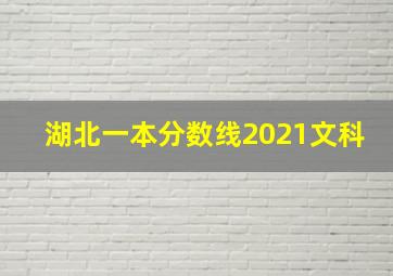 湖北一本分数线2021文科