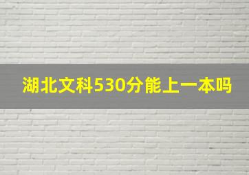 湖北文科530分能上一本吗