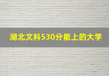 湖北文科530分能上的大学