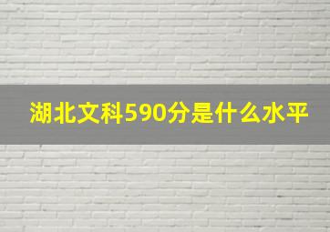 湖北文科590分是什么水平