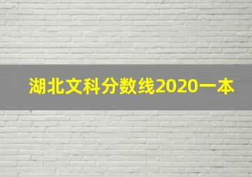 湖北文科分数线2020一本