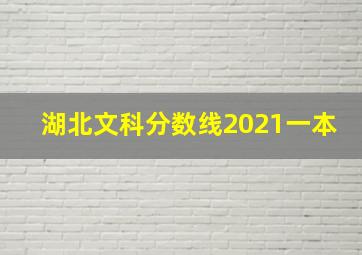 湖北文科分数线2021一本