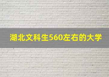 湖北文科生560左右的大学