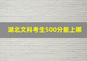 湖北文科考生500分能上哪