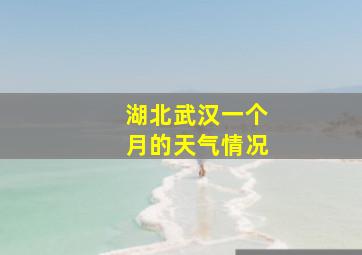 湖北武汉一个月的天气情况