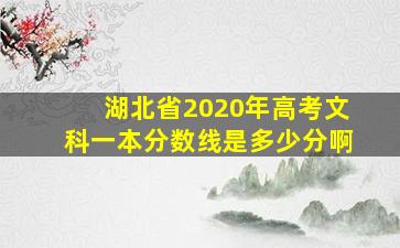 湖北省2020年高考文科一本分数线是多少分啊