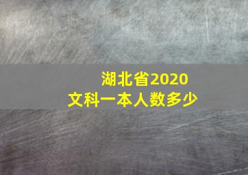 湖北省2020文科一本人数多少