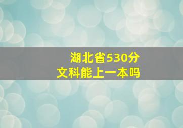 湖北省530分文科能上一本吗