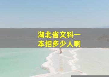 湖北省文科一本招多少人啊