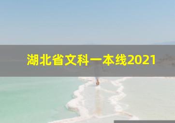 湖北省文科一本线2021