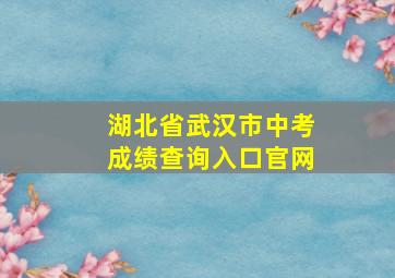 湖北省武汉市中考成绩查询入口官网