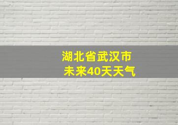 湖北省武汉市未来40天天气