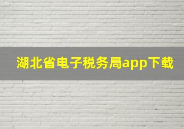 湖北省电子税务局app下载