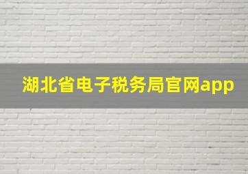 湖北省电子税务局官网app