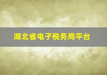 湖北省电子税务局平台