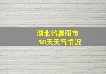 湖北省襄阳市30天天气情况