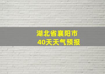 湖北省襄阳市40天天气预报