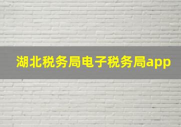 湖北税务局电子税务局app