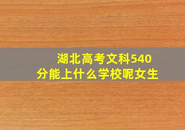 湖北高考文科540分能上什么学校呢女生