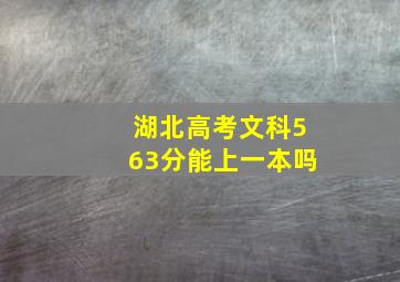 湖北高考文科563分能上一本吗