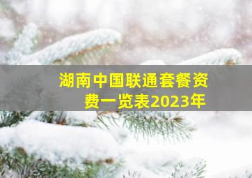 湖南中国联通套餐资费一览表2023年