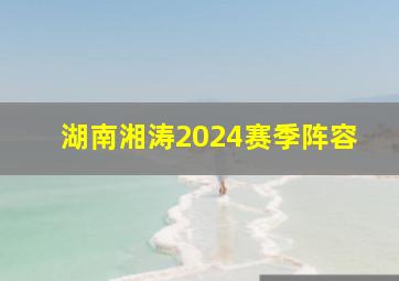 湖南湘涛2024赛季阵容