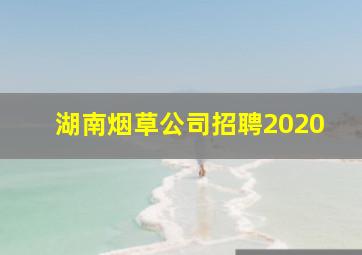 湖南烟草公司招聘2020