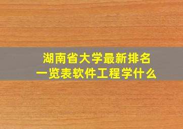 湖南省大学最新排名一览表软件工程学什么