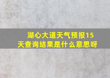 湖心大道天气预报15天查询结果是什么意思呀