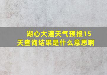 湖心大道天气预报15天查询结果是什么意思啊