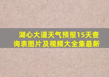 湖心大道天气预报15天查询表图片及视频大全集最新