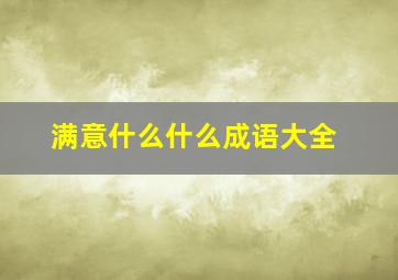 满意什么什么成语大全