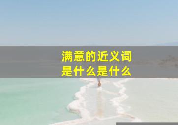 满意的近义词是什么是什么