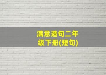 满意造句二年级下册(短句)