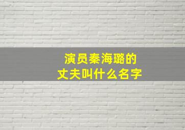 演员秦海璐的丈夫叫什么名字