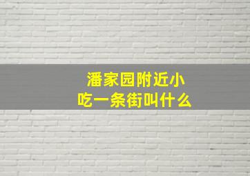 潘家园附近小吃一条街叫什么