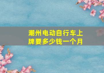 潮州电动自行车上牌要多少钱一个月