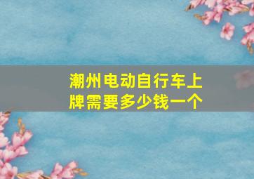 潮州电动自行车上牌需要多少钱一个