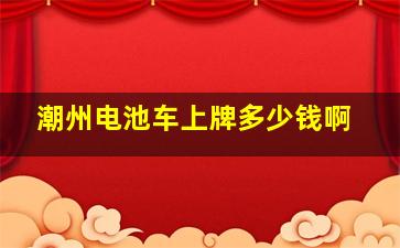 潮州电池车上牌多少钱啊