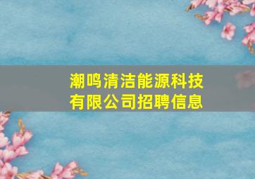 潮鸣清洁能源科技有限公司招聘信息