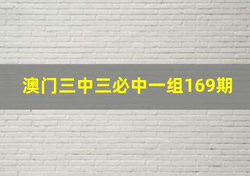 澳门三中三必中一组169期