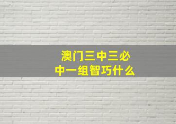 澳门三中三必中一组智巧什么