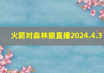 火箭对森林狼直播2024.4.3