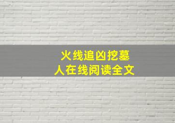 火线追凶挖墓人在线阅读全文