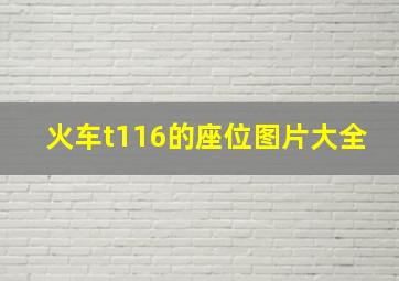 火车t116的座位图片大全