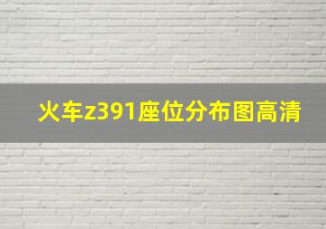 火车z391座位分布图高清