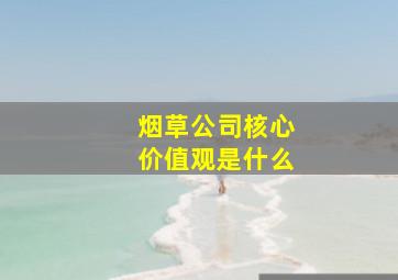 烟草公司核心价值观是什么