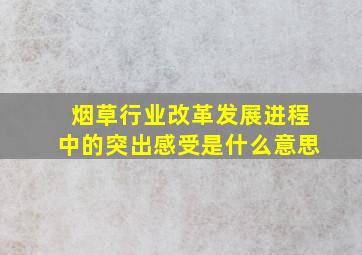 烟草行业改革发展进程中的突出感受是什么意思